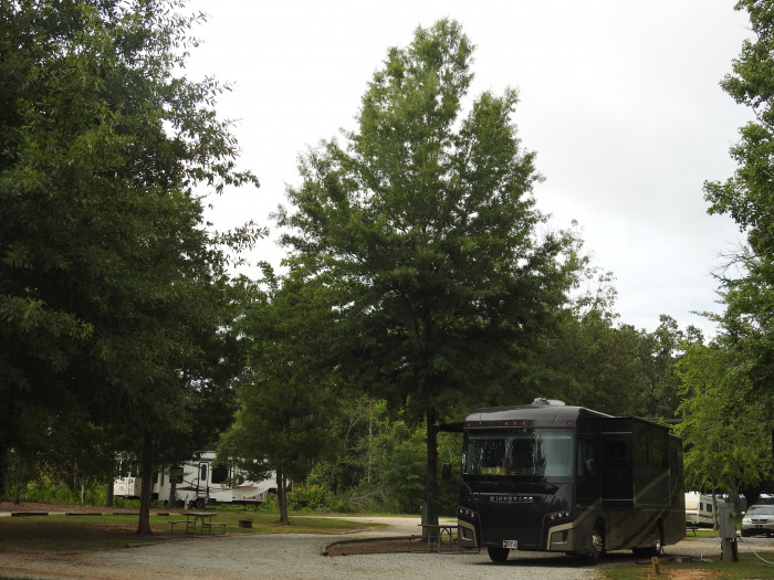 Magnolia RV Park and Campground Kinards, SC Campground Reviews